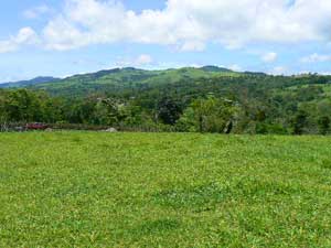 Acreage for sale at Lake Arenal, Costa Rica