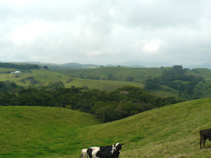 The forest-guarded acreage is in a beautiful valley with long westward views to the Guanacaste lowlands.