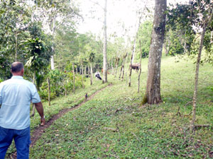 A path leads the length of the property to the cove. 