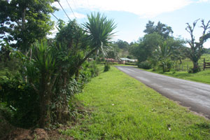 The acreage is on the left side of the San Luis to Tronadora road.