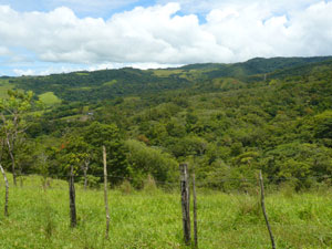 To the northwest are thickly forested hills.