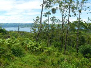 Another view of Lake Arenal from the top of the property.