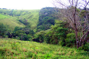 The finca has a terrain of great variety.