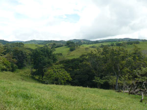 To the east is the high rolling countryside and the tiny village of Monsenior. 