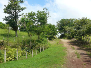 This the road from Tilaran just before the farm.