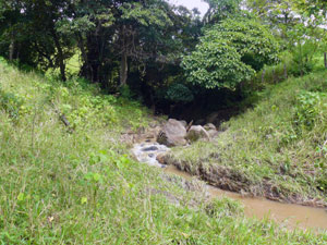 A year-round stream meanders through the north end of the farm.