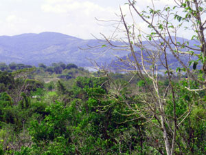 Lake Arenal can be seen from the ridge. 