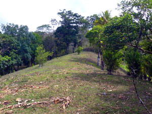 A central ridge can accomodate a house and has a distant lake view. 