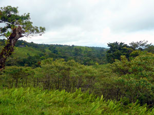 To the southeast are miles of forested hills and cattle ranches.