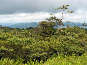 To the southwest the forested hills step down to Lake Arenal.