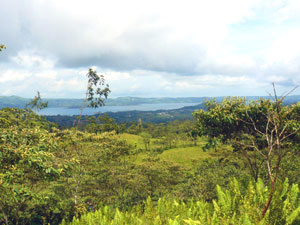 Seen here below the high road, the ranch has an intriguing combination of pastures and forest.