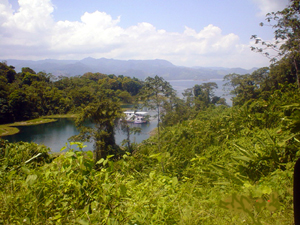 A houseboat sits in a finger of Lake Arenal that projects toward the finca. 