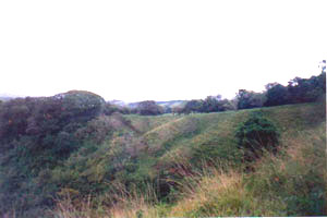 in the distance are the hills of the monteverde Cloud Forest.