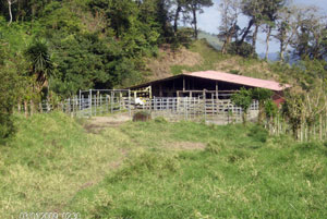 The outbuildings are in good condition as een in this building with a pipe corral.  