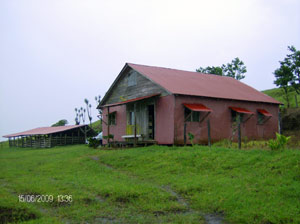 This is one of the two houses on the property.