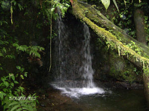 One of as many as 40 cataratas or waterfalls on the property.