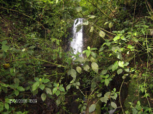 Another of the waterfalls on the finca. 