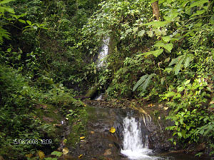 Another of the 40 waterfalls on the ranch. 