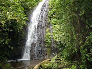 Another of the 40 waterfalls on this property near Santa Elena and the Montevere Cloud Forest. 