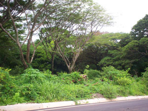 The acreage borders the Tilaran Libano highwayless than 10 minutes from Tilaran Centro.