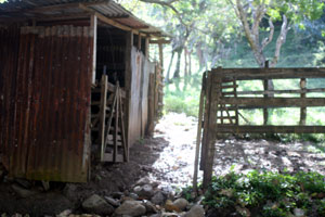 The only building on the property is this small tack building/shelter for two horses.  