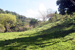 The wide pasture raches a hill that crests in a Tlaran barrio.