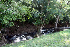 The property borders the stream for about 340 yards. 