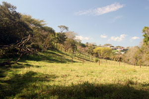 Looking west toward the property entrance wth Tilaran houses on distant hilltop.