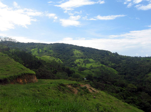 There are 3 prepared building sites on the acreage.