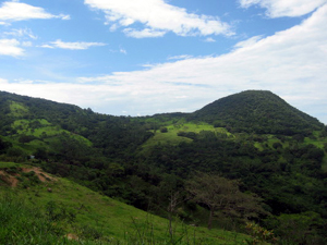 There are forested quebradas with streams.