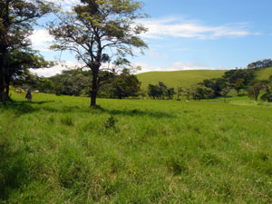 Mounting a hill toward the lakeview section of the property.