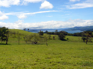 A view of Lake Arenal from the 50-acre portion.