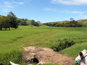 A view past the end of the ranch to the hilltops once owned by this rancher, which now are topped by wind turbines.