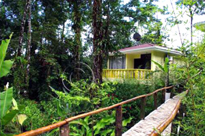 Attractive pathways, elevated in some places, lead to the villas.