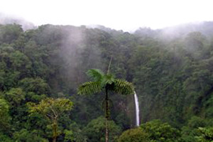 La Fortuna waterfall, the very popular tourist attraction, is a a short hike past the hotel.