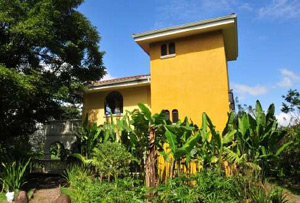 Exotic landscaping as well as natural jungle shelter the hotel.