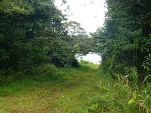 Near the bottom, at a small informal parking area, the lane turns to the right and the inviting cove is seen.