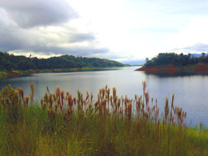 A narrow entrance from the nearly 20-mile-long lake leads to the protected cove. 