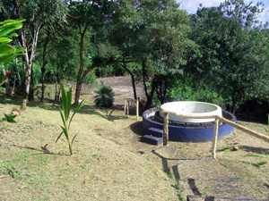 On the nicely landscaped lakeside, a jacuzzi and a pond are framed by tropical flora. 