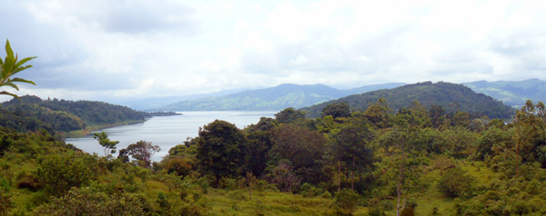 As the lane starts down the peninsula, there's nothing but pasture and forest down to the lake.