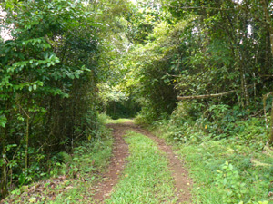 The grassy lane is an easy 10 to 15-minute walk through uninhabited pasture and forest countryside to the water's edge.