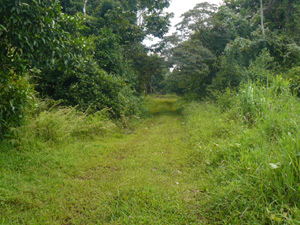 Starting back up the lane, one faces an enjoyably gradual uphill walk, though vehicles can easily and safely be used.