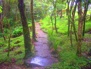 Luxury B&B estate for sale at Lake Arenal, Costa Rica