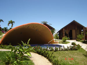 A shaded  hotsprings swimming pool contains a swim-up bar.