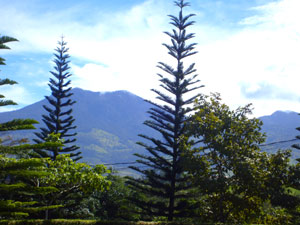 Mountains rise around the hilltop forested center.