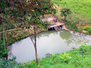 A pond behind a dam. 