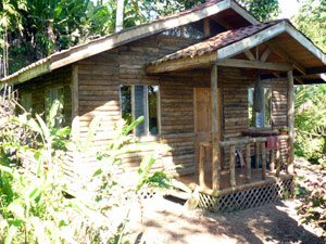 This appealingly rustic but modern cabin is one of three on the lower , jungled art of the property.