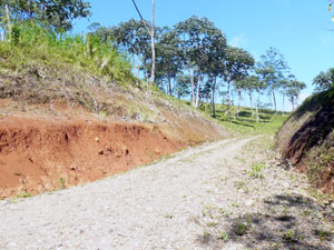 This new road continues to the top of the hill, accessing the three lots of about 1.25 acres each. 