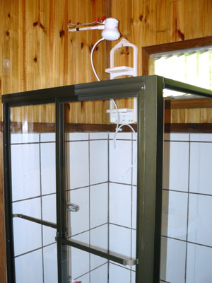 Though small, the cabins have roomy modern showers such as this one.