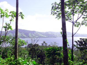 The cabins have views through and over the jungle to fine Lake Arenal vistas.